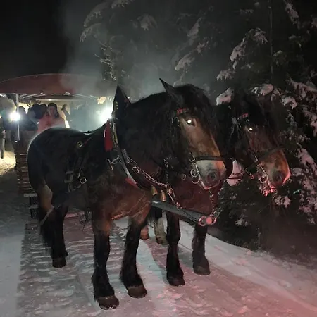Appartement De Jutter Edelweiss *