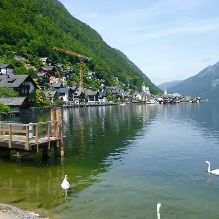 De Jutter Edelweiss * Gosau