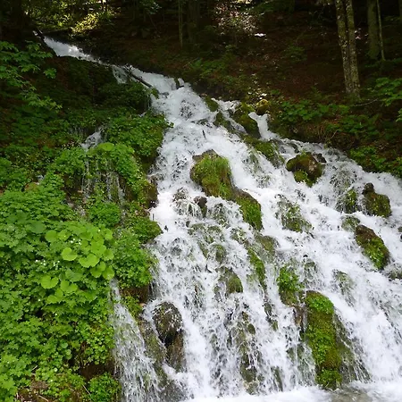 玉特雪绒花公寓 *