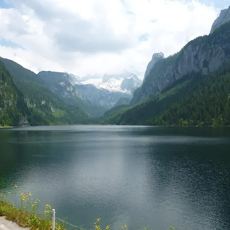 De Jutter Edelweiss Appartement *