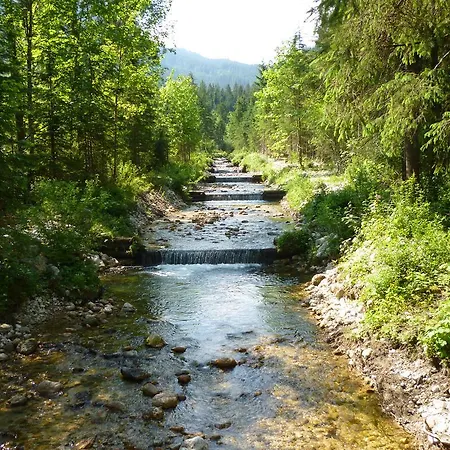 De Jutter Edelweiss Appartement *