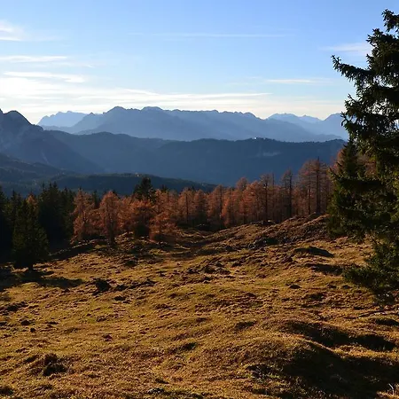 De Jutter Edelweiss Gosau