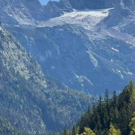 De Jutter Edelweiss *