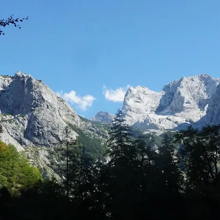 玉特雪绒花公寓 格绍