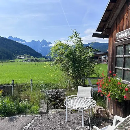 De Jutter Edelweiss * 고사우