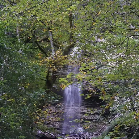 公寓 玉特雪绒花公寓