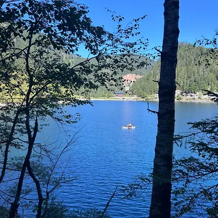 公寓 玉特雪绒花公寓 *