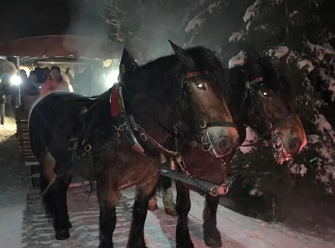 Appartement De Jutter Edelweiss *