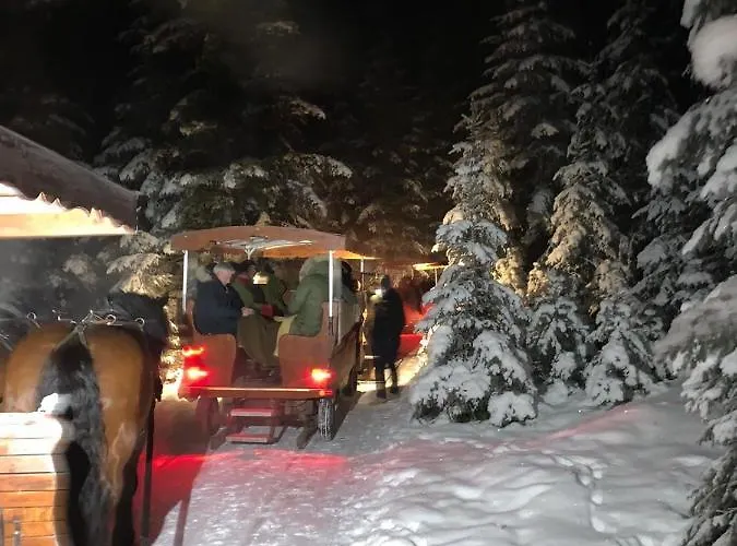 دو جوتير إيديلفايس *