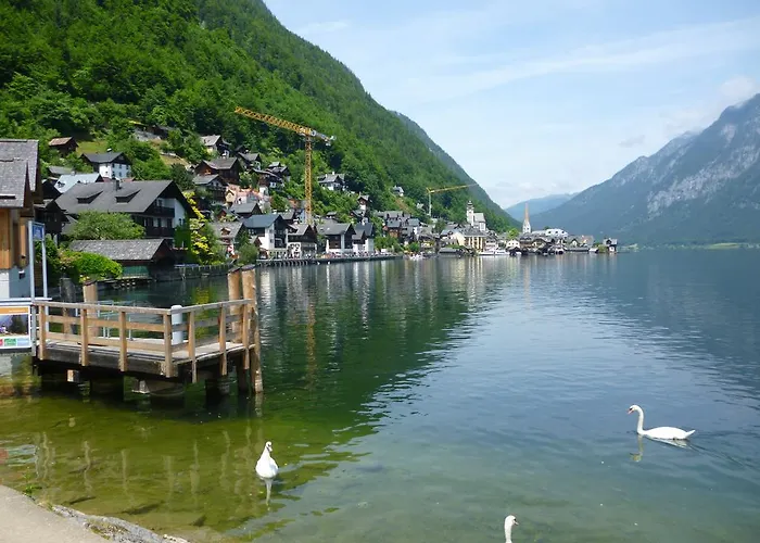 De Jutter Edelweiss * Gosau