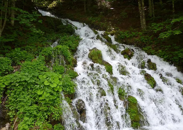 De Jutter Edelweiss *