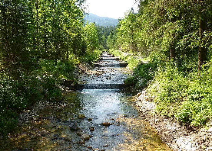 دو جوتير إيديلفايس شقة *