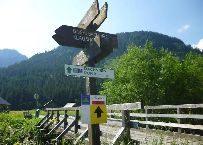 De Jutter Edelweiss 아파트 *