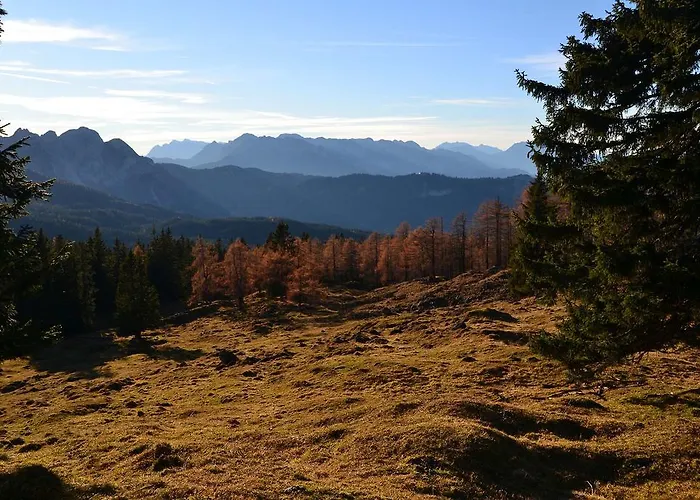 De Jutter Edelweiss Gosau