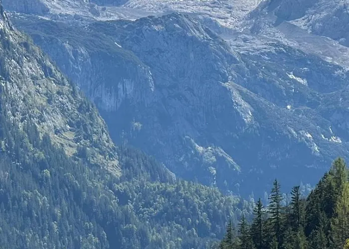 دو جوتير إيديلفايس *