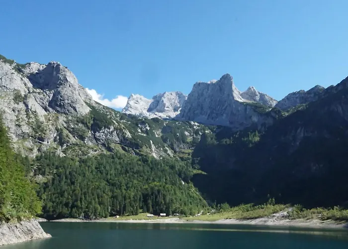 دو جوتير إيديلفايس *