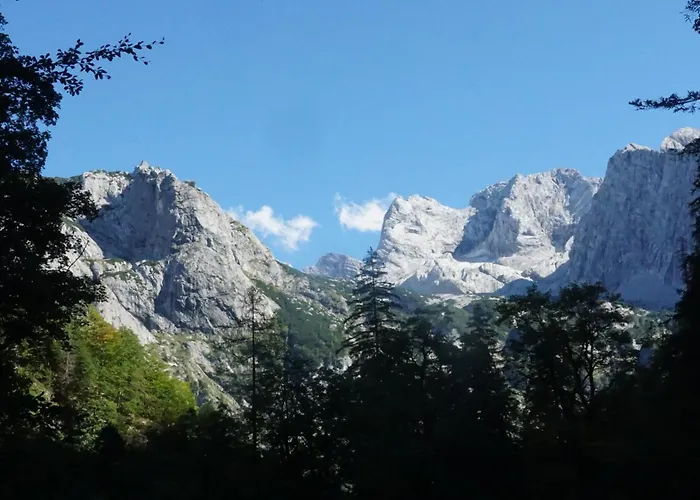 De Jutter Edelweiss 고사우