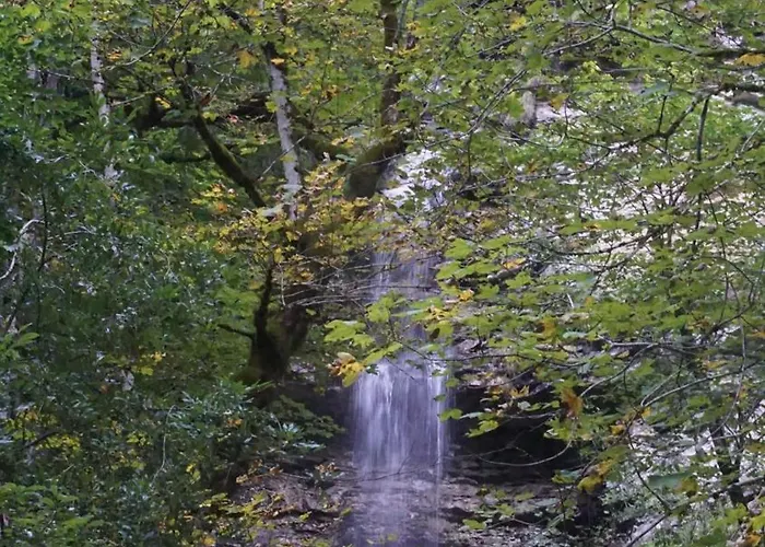 Appartement De Jutter Edelweiss