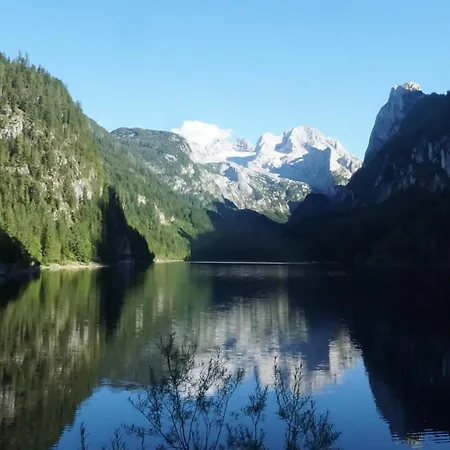 De Jutter Edelweiss アパート ゴーザウ